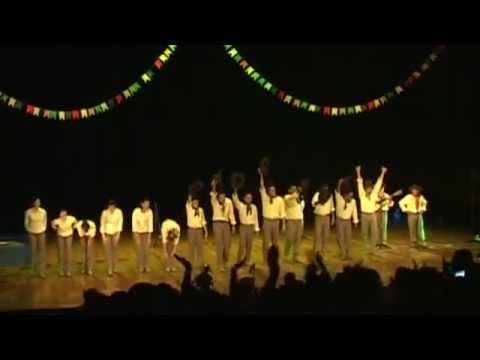 Os Favoritos da Catira - Viola na Catira - Recortado