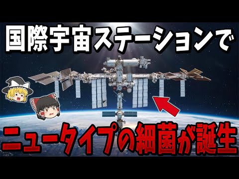国際宇宙ステーション: 研究者らが ISS で謎の細菌を発見