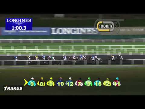 Race 6  Meydan 18 JAN 2014