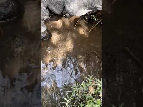 Nacimiento de agua en Santa Catarina Mita