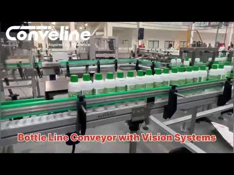Flexible Chain Conveyor