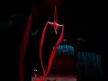 When the silks make a heart shape 🥹 😍 | Cirque du Soleil #shorts