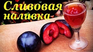 Сливянка домашняя