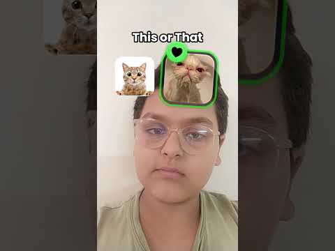 😸😸😸😸😸😹😹😹😹😹😹😹😹😸😹😹😹😹😻😻😻