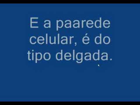 Biologia - Mundo Vegetal (Paródia "Mundo Animal - Mamonas Assasinas)