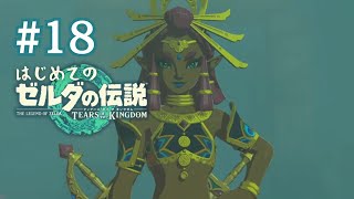 【＃１８】ルージュと再会！目指せ雷の神殿！〜はじめてのゼルダの伝説ティアーズオブザキングダム
