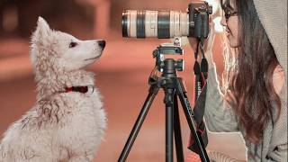 Fotografias Paul