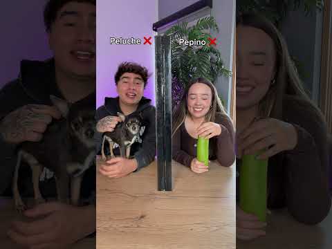 ADIVINA EL OBJETO 🍌🐶