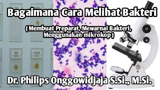Pengamatan Bakteri (Pembuatan Preparat, Mewarnai Bakteri, Menggunakan Mikroskop)