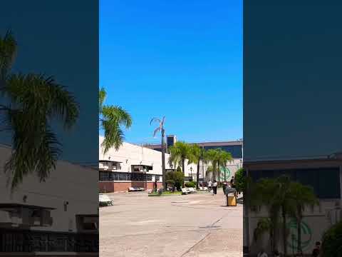 Está haciendo realmente muchísimo calor en el campus de la Unlam en #lamatanza #shorts #buenosaires