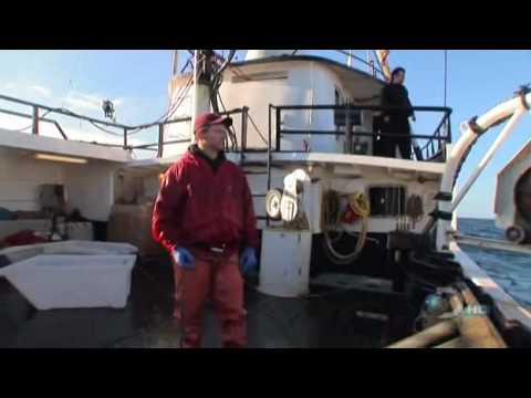 Deadliest Catch Pranks - Wizard vs North American