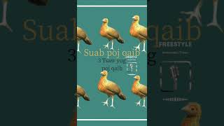 Download lagu poj qaib seev Mp3 mp3