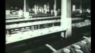 Βρωμοέλληνες (ντοκιμαντέρ)