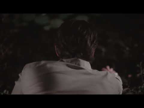 Rivulets - Into The Night (Official Music Video)