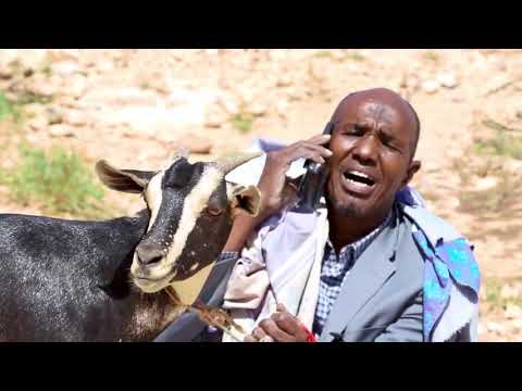 Riwaayadii Ri maahee Waa lax Sooraan Iyo jawaan.