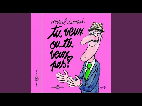 Tu veux ou tu veux pas ? (Nouvelle version 2007)