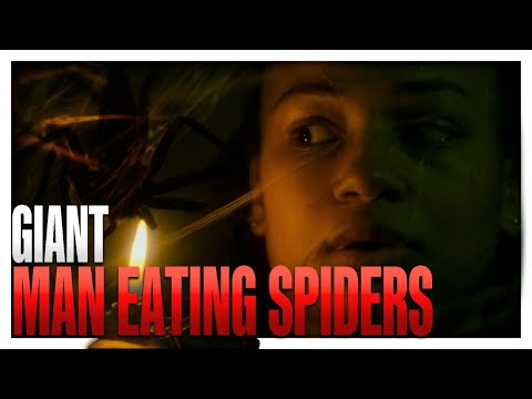 The Human Hunting Spider GROWTH and ADAPTATION in Infested