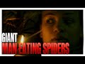 The Human Hunting Spider GROWTH And ADAPTATION In Infested