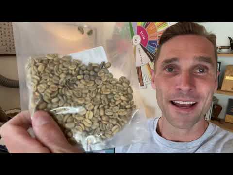 1/3 Coffee Samples Moisture Density Roasting ROEST’ing Color Analyzing Cupping Discussing.