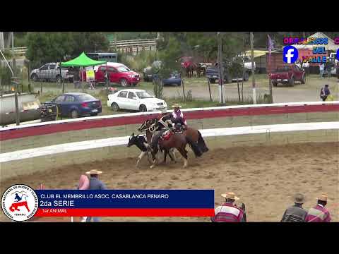RODEO CLUB EL MEMBRILLO ASOCIACION CASABLANCA FENARO