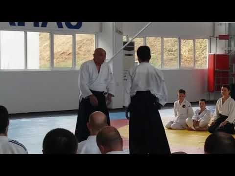 Seminar in Varna 15-17.06.2017 - Michele Quaranta - Video 14