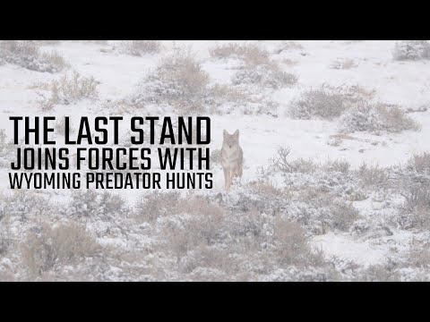 The Last Stand joins forces with Wyoming Predator Hunts