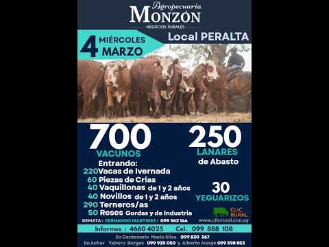 4/3/2026 Local Peralta - Tacuarembó - Feria Mensual - Agropecuaria Monzon