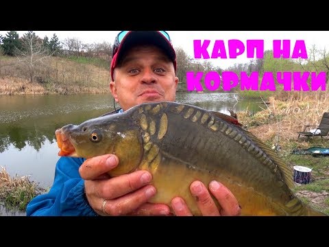 Весенний карп на УБИЙЦУ КАРАСЯ! Ловлю карпов с рыбачкой Инной на кормачки!