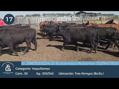 Lote VQ INV -Tres Arroyos Bs As