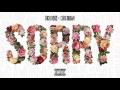Rick Ross Feat Chris Brown Sorry Official Explicit Audio