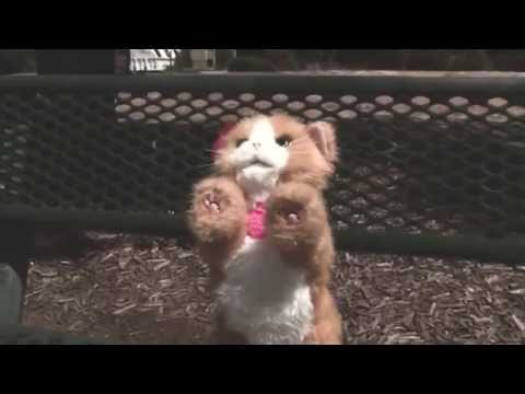 Sidewalk Copettes Episode 2: The Lost Kitty Cat BLOOPERS