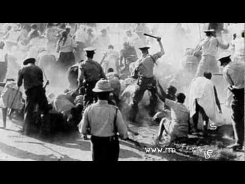 Steppah Huntah - Afrofeel