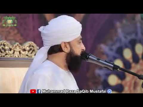 Top best bayin the Hazrat Alma Saqib Raza Mustafai