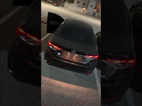 Naif Al Badr ... Dakka Kadima/7mo😴