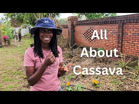 Cassava Masterclass