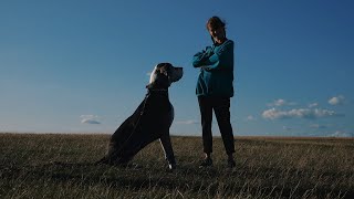 Etyen - Elephant In The Room (Official Video)