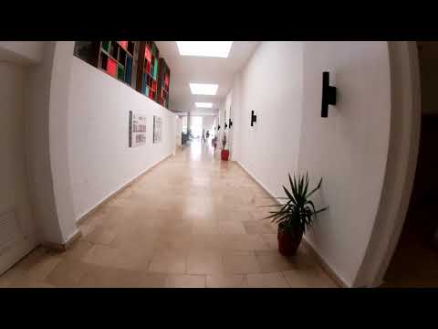 Valentin Perla Blanca