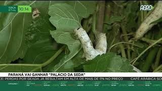 Miniatura do vídeo
