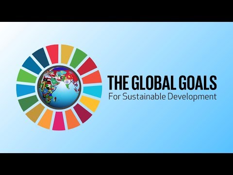 UN Sustainable Development Goals | Introduction