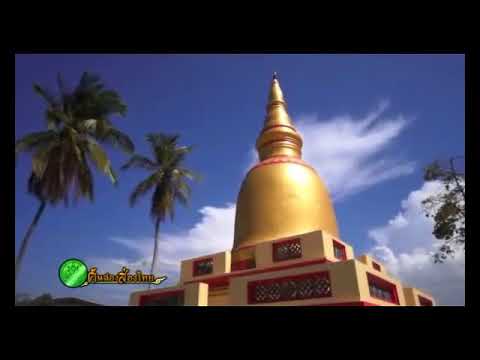 ภาพประกอบ วีดิทัศน์