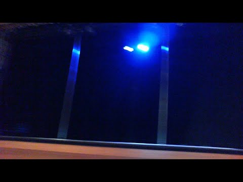 USPSF Nationals (Pole Classique & Pole Art America)