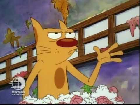 Catdog ate food at the buffet 🍖🍣🥩🥓🍗