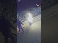 Arson Suspect Accidentally Lights Himself On Fire CCTV