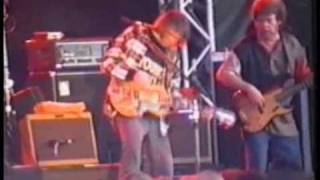 NEIL YOUNG LIVE TO RIDE 7/19/93