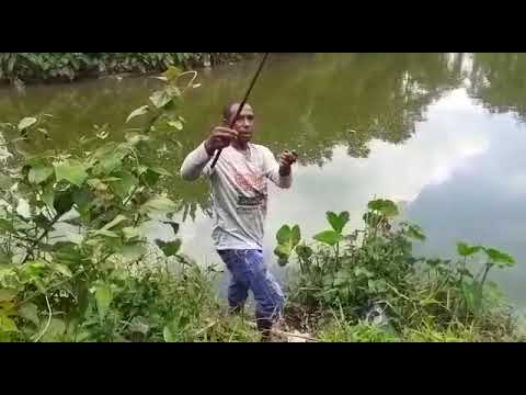 cerita kmi semlm lagi mancing. gauss..