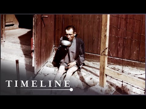 The Horrifying Evolution Of Nazi Concentration Camps