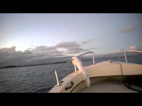 bootje spodsbjerg langeland