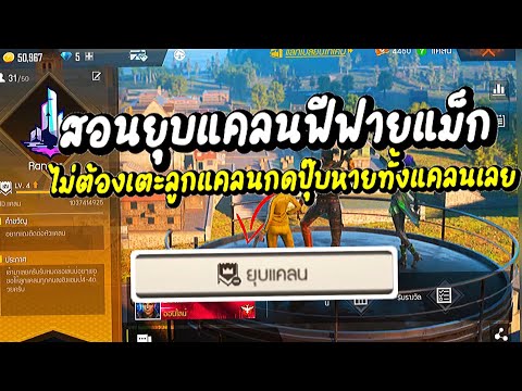 ชื่อฟีฟาย