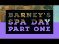 Barney S SPA Day S01E02 Part One Golden Barney