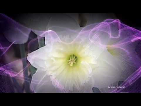 STAMATIS SPANOUDAKIS  - Spring of life